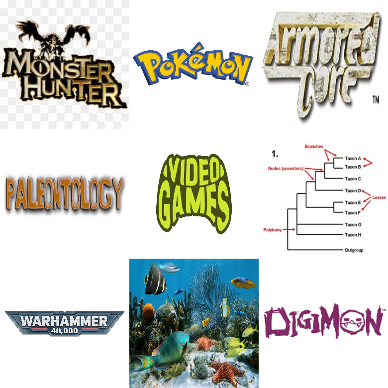 Special Interests 3x3