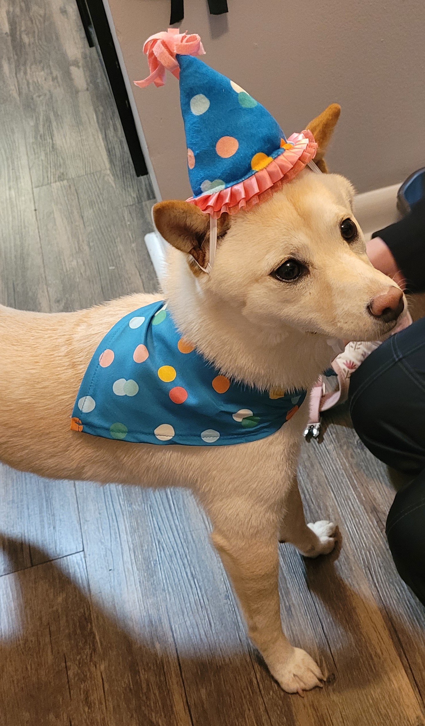 Bunny's first birthday